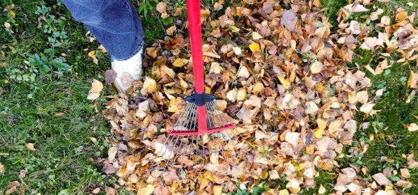 Should Gardening End When Fall Arrives?