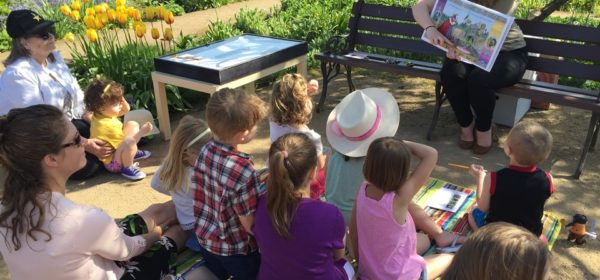 Gardening Plans With Your Kids For Next Spring