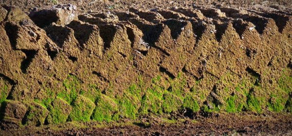 Here’s What You Can Do To Reduce Your Peat Use