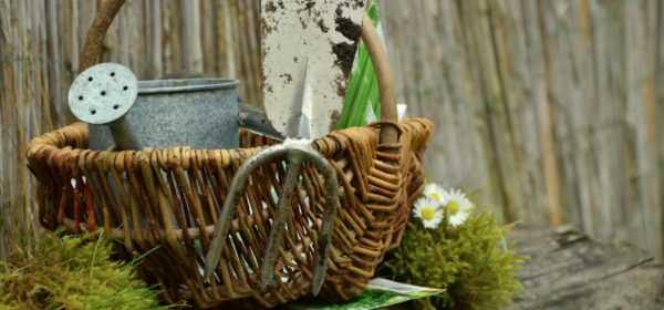 Gardening Gift Ideas For Your Green Thumbed Loved Ones