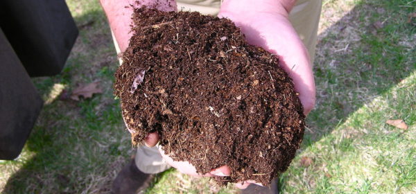 Improve Your Garden Soil, Here’s How