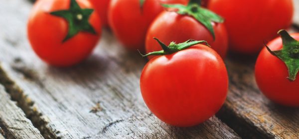 Grow Your Own Tomatoes From Seed, Here’s How