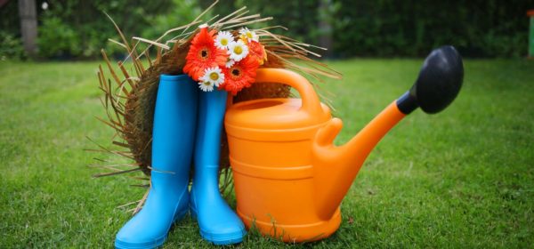 Essential Gardening Tools Blooming Gardeners