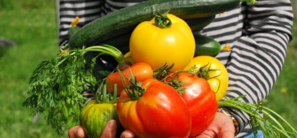 Grow and Harvest These Veggies in Under a Month