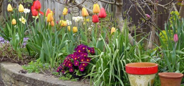 Gardening Tips For Busy People