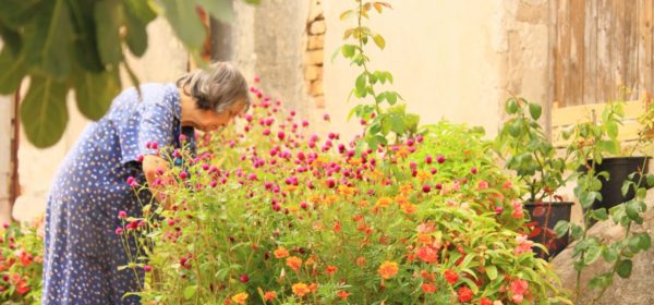 How To Make Gardening Easier As We Age