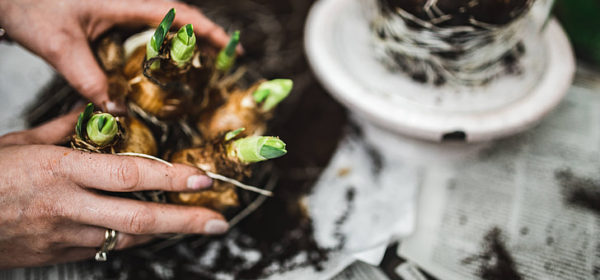 Meditating With Your Houseplants Could Make You More Calm and Mindful