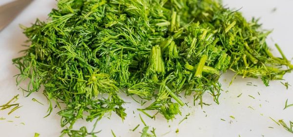 How to Plant, Grow and Harvest Dill