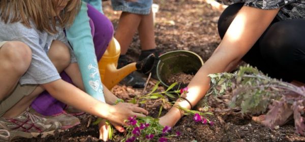 Get You Children’s Interest In Gardening, Here’s How