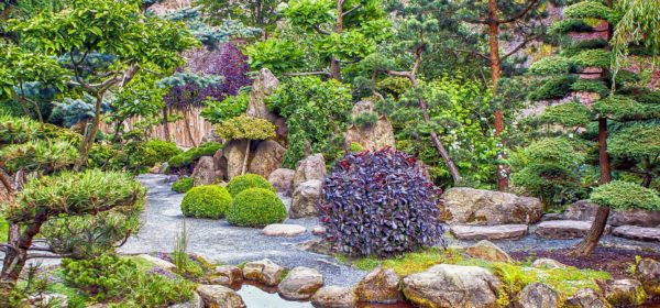 Japanese Zen Garden Tips From Experts