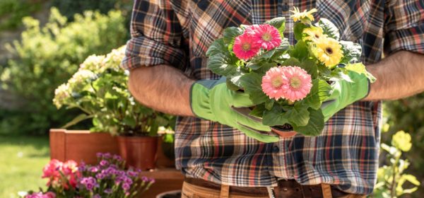 Keep Plants Healthy Through Droughts and Storms