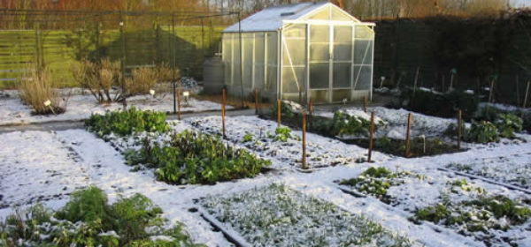 Gardening Is Possible Throughout The Winter